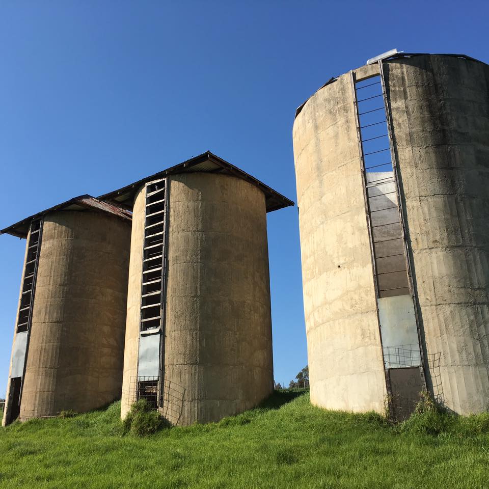 Three concrete silos at the Bartram Silos project